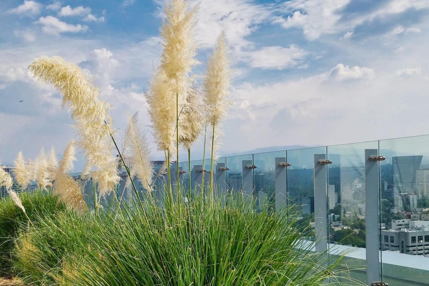 Luxurious High-Rise Hs Wifi, Amazing City Views Città del Messico Esterno foto